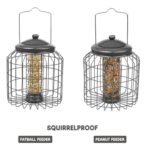 Squirrel proof hanging bird - proof,