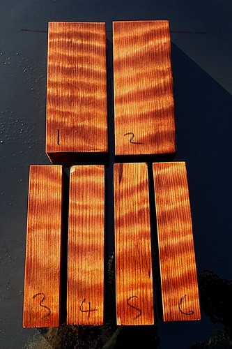 Curly coastal redwood knife - coastal,