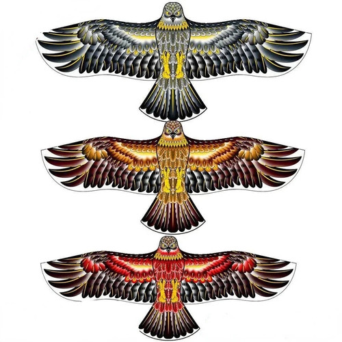 Anti bird flying hawk kite - bird,
