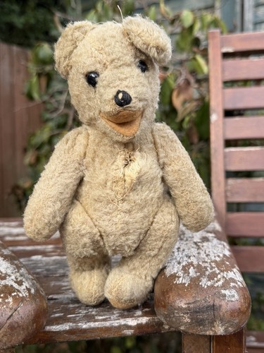 Vintage old teddy - bear, alan
