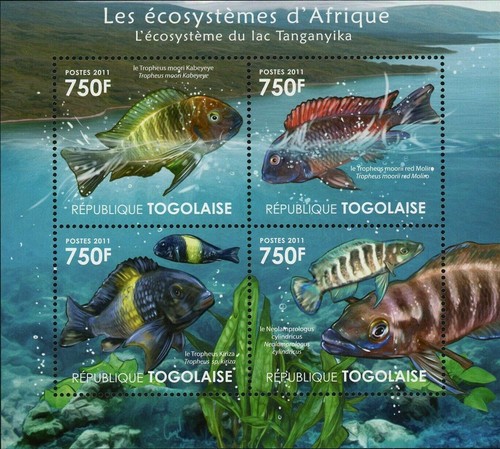 Ecosystem tanganyika lake - tanganyika,