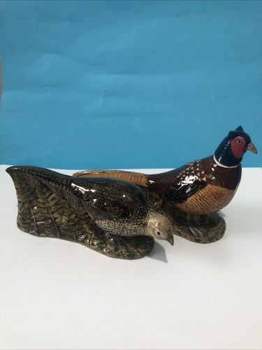 Pheasant cock and hen - cock,