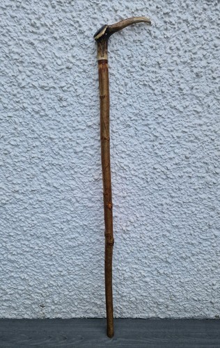 Vintage stag horn antler - vintage,