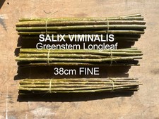 Willow cuttings 380mm x - x,