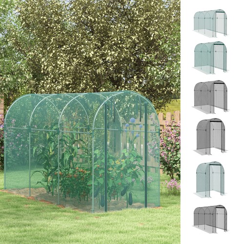 Fruit cage plant - plant, protection