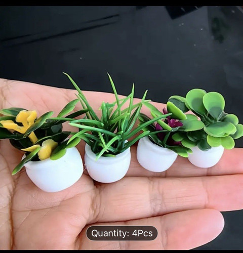 New miniature plants in - 4, x