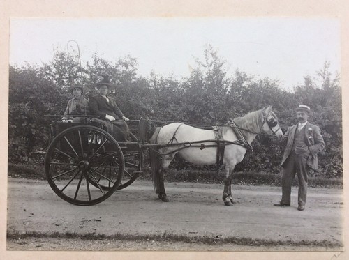 Old photograph pony trap - old,
