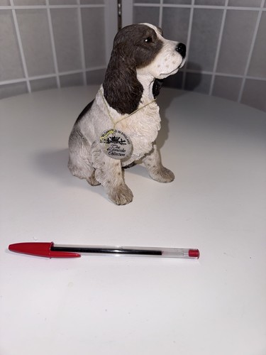 Brown and white cocker - brown, spaniel
