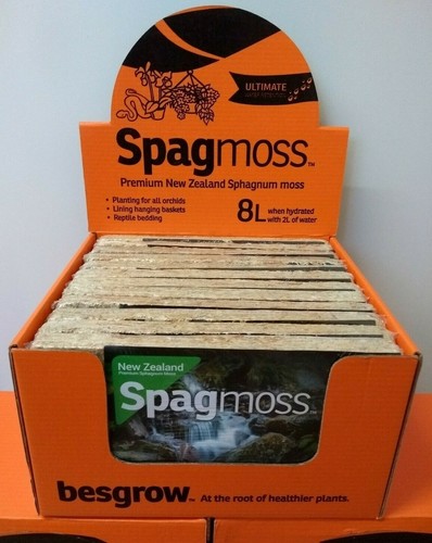 Spagmoss new zealand long - zealand,