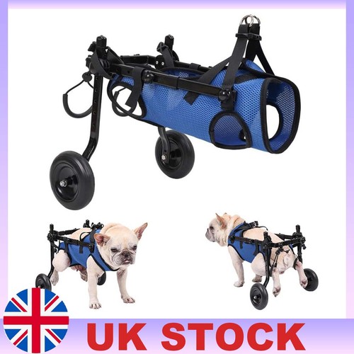Pet walk booster - walk, dog