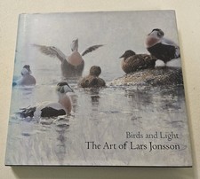 Birds and Light The Art Of