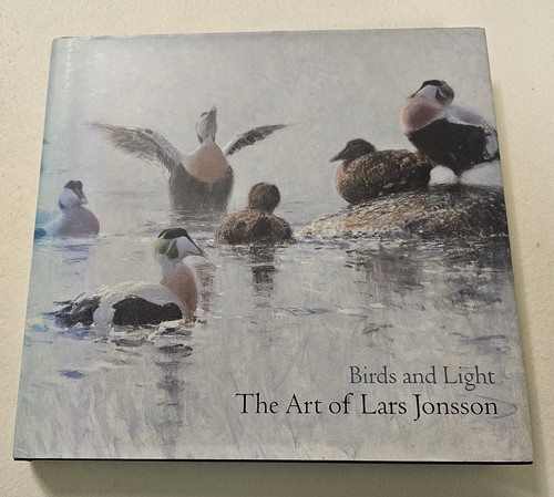 Birds and light the art - birds,