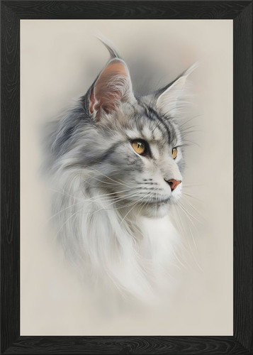 Maine coon classic cat - -,