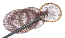 Antique Pear shaped bent wood