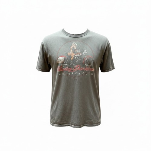 Harley davidson grey - harley-davidson,