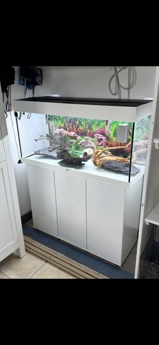 Jewel rio 180 aquarium fish - jewel,