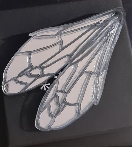 Beautiful tatty devine insect - beautiful,