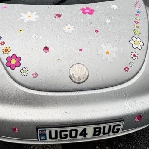 Bug beetle quad - or,