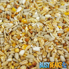 BusyBeaks No Mess Seed Mix -