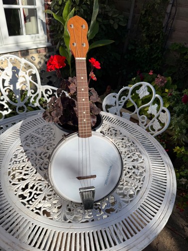 Banjolele vintage musima - banjolele,