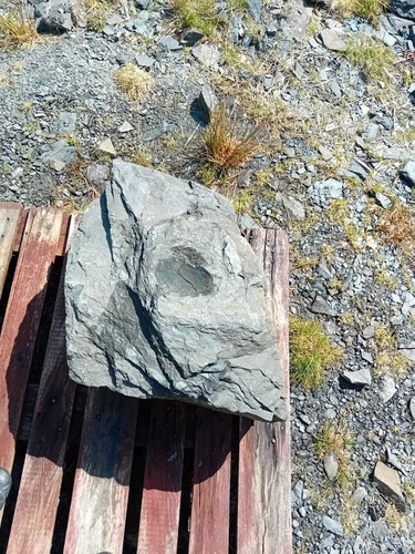 Large garden boulder natural - large,