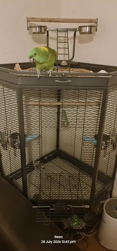 Liberta alaska corner - corner, cage