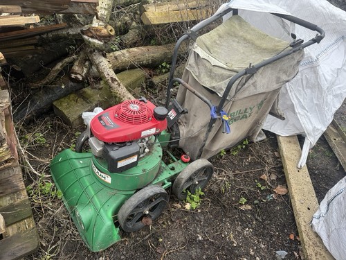 Billy goat lawn and road - lawn,