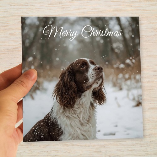 Springer spaniel christmas - springer,