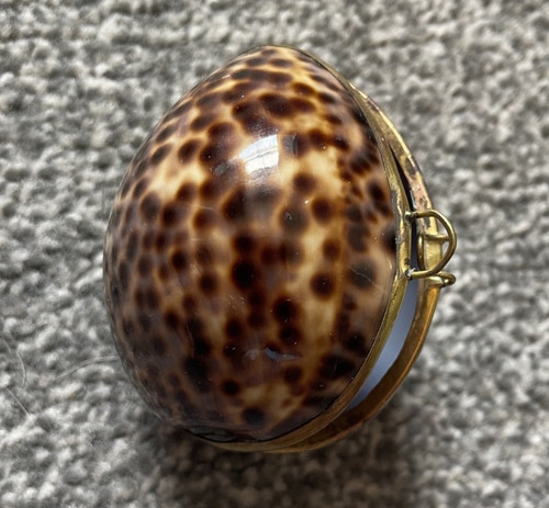 Vintage tiger cowrie sea shell - tiger,