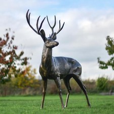 Life Size 'Ryder' Stag