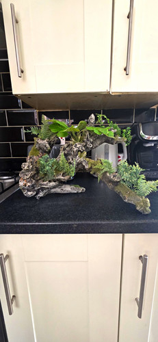 Aquarium rock cave hide - aquarium,