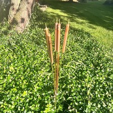 Copper cattail wind chimes - cattail,