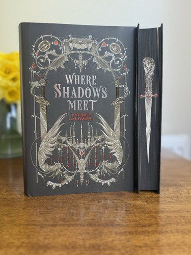 Fairyloot march book - ya,