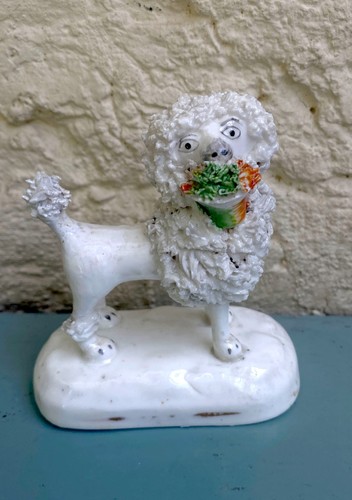 Antique staffordshire poodle - ,