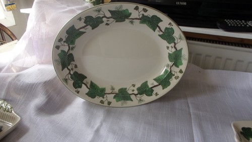 Wedgwood napoleon ivy - “,