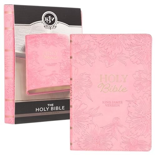 Kjv holy bible gift edition - holy,