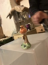 Border Fine Arts Robin