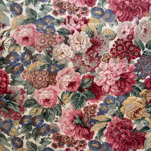 Vintage sanderson rose - rose, peony
