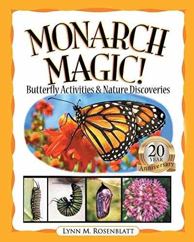 Monarch magic butterfly - magic!,