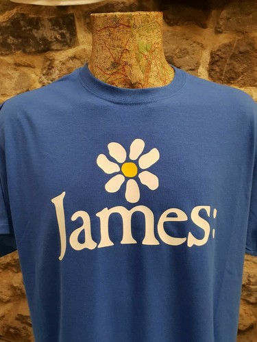 James the band tim booth - james,