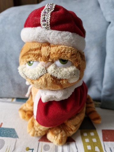 2006 beanie garfield his - garfield,