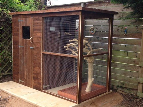 Breeding aviary walk in - breeding,