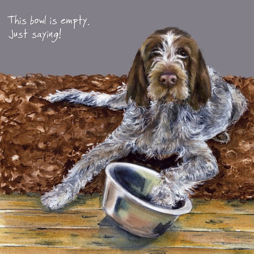 Italian spinone bowl little - spinone,