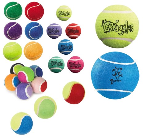 Colorful bulk dog - colorful,