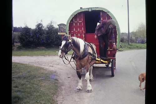 Elsing gypsy caravan norfolk - elsing,, caravan,