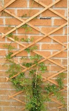 3, x Tan Light Brown  wooden expanding garden trellis 6ft x 2ft / 1.8m x 60cm