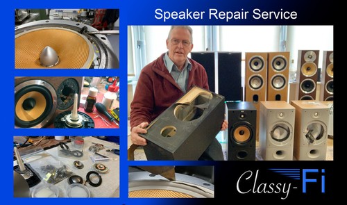 Speaker driver repairs - driver, bass