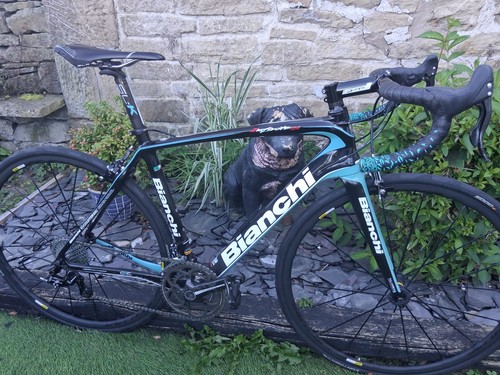 Bianchi infinito carbon - bianchi,