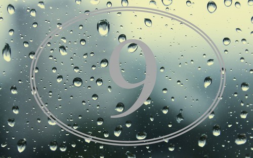 Frost etched oval door - frost, numbers