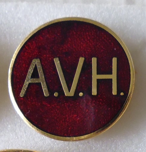 Avon vale hunt enamel pin - vale,